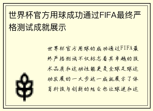 世界杯官方用球成功通过FIFA最终严格测试成就展示