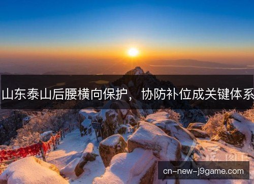 山东泰山后腰横向保护,协防补位成关键体系 山东泰山后腰横向保护,协防补位成关键体系